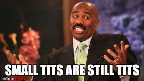SMALL TITS ARE STILL TITS | image tagged in memes,steve harvey | made w/ Imgflip meme maker