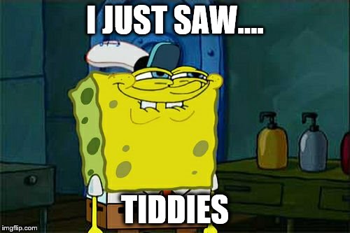 Don't You Squidward Meme | I JUST SAW.... TIDDIES | image tagged in memes,dont you squidward | made w/ Imgflip meme maker