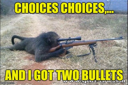 CHOICES CHOICES,... AND I GOT TWO BULLETS | made w/ Imgflip meme maker