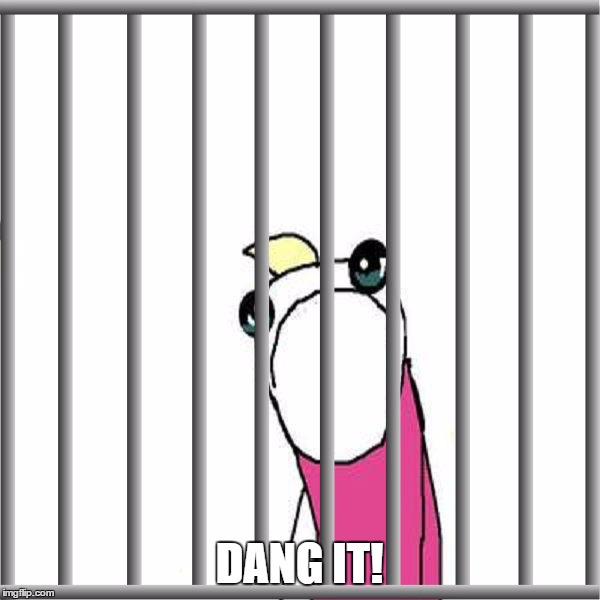 DANG IT! | made w/ Imgflip meme maker