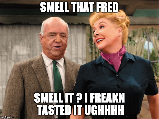 SMELL THAT FRED SMELL IT ? I FREAKN TASTED IT UGHHHH | made w/ Imgflip meme maker