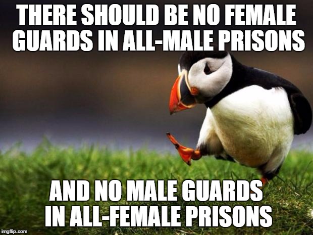 Prisons are gender-seperated for a reason. Let's keep it that way. | THERE SHOULD BE NO FEMALE GUARDS IN ALL-MALE PRISONS; AND NO MALE GUARDS IN ALL-FEMALE PRISONS | image tagged in memes,unpopular opinion puffin | made w/ Imgflip meme maker