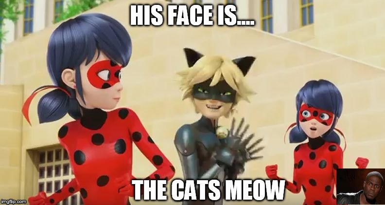 HIS FACE IS.... THE CATS MEOW | image tagged in chats face | made w/ Imgflip meme maker