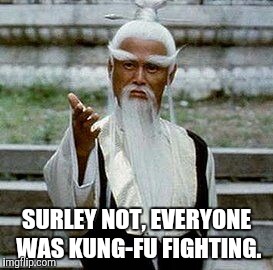 SURLEY NOT, EVERYONE WAS KUNG-FU FIGHTING. | image tagged in hartford hunger games | made w/ Imgflip meme maker