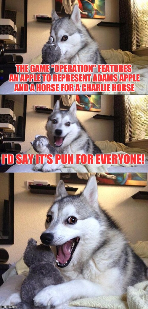 I played this game my whole life, and only recently did I fully understand. *embarrassed face* | THE GAME "OPERATION" FEATURES AN APPLE TO REPRESENT ADAMS APPLE AND A HORSE FOR A CHARLIE HORSE; I'D SAY IT'S PUN FOR EVERYONE! | image tagged in memes,bad pun dog | made w/ Imgflip meme maker