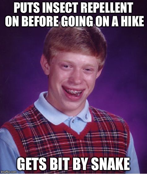 Bad Luck Brian | PUTS INSECT REPELLENT ON BEFORE GOING ON A HIKE; GETS BIT BY SNAKE | image tagged in memes,bad luck brian | made w/ Imgflip meme maker