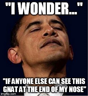 Barack Obama proud face | "I WONDER..."; "IF ANYONE ELSE CAN SEE THIS GNAT AT THE END OF MY NOSE" | image tagged in barack obama proud face | made w/ Imgflip meme maker