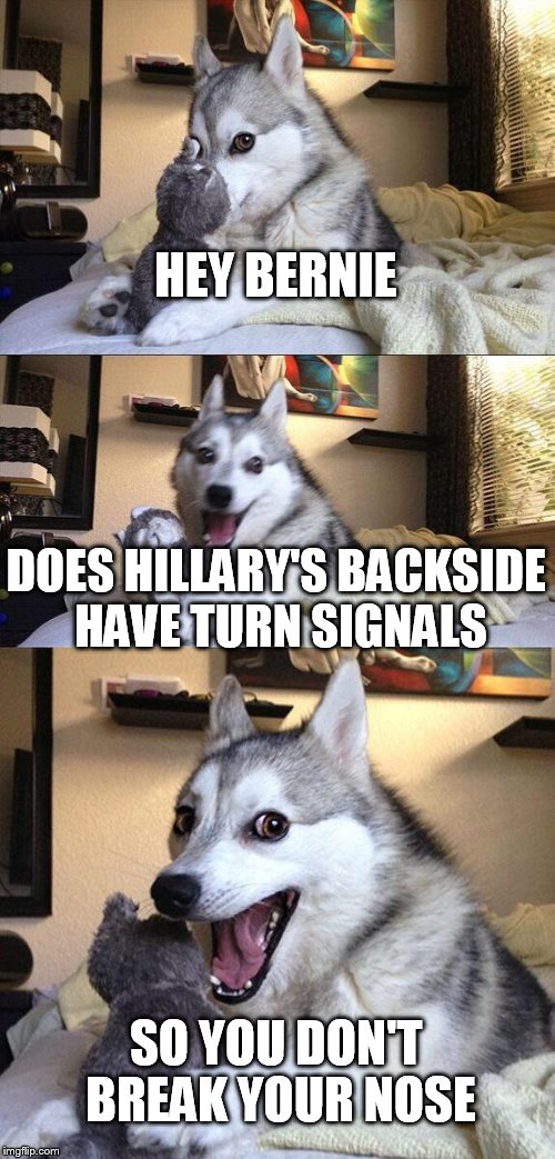 Bad Pun Dog | HEY BERNIE; DOES HILLARY'S BACKSIDE HAVE TURN SIGNALS; SO YOU DON'T BREAK YOUR NOSE | image tagged in memes,bad pun dog | made w/ Imgflip meme maker