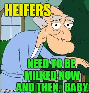 HEIFERS NEED TO BE MILKED NOW AND THEN,  BABY | image tagged in perve | made w/ Imgflip meme maker