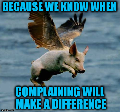 BECAUSE WE KNOW WHEN COMPLAINING WILL MAKE A DIFFERENCE | made w/ Imgflip meme maker