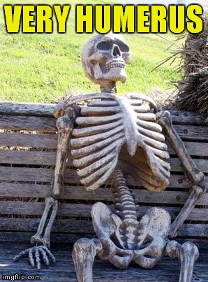 Waiting Skeleton Meme | VERY HUMERUS | image tagged in memes,waiting skeleton | made w/ Imgflip meme maker