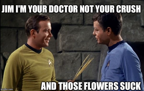 If you're going to romance McCoy, use better flowers | JIM I'M YOUR DOCTOR NOT YOUR CRUSH; AND THOSE FLOWERS SUCK | image tagged in kirk and mccoy star trek,memes,star trek | made w/ Imgflip meme maker
