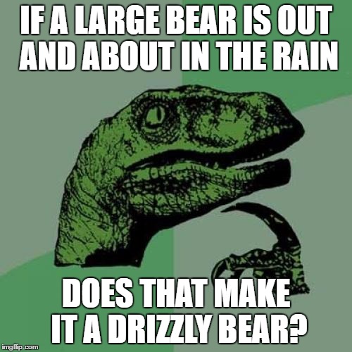 Philosoraptor Meme | IF A LARGE BEAR IS OUT AND ABOUT IN THE RAIN; DOES THAT MAKE IT A DRIZZLY BEAR? | image tagged in memes,philosoraptor | made w/ Imgflip meme maker