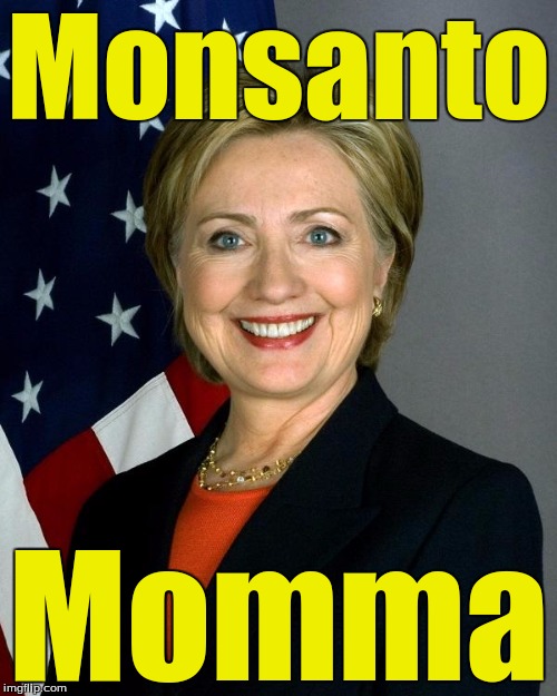 Hillary Clinton Meme | Monsanto; Momma | image tagged in hillaryclinton | made w/ Imgflip meme maker