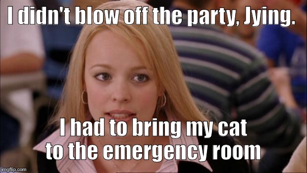 I missed the page 9 party last night. Cat needed emergency care, now I'm too tired to meme today  | I didn't blow off the party, Jying. I had to bring my cat to the emergency room | image tagged in memes,its not going to happen | made w/ Imgflip meme maker