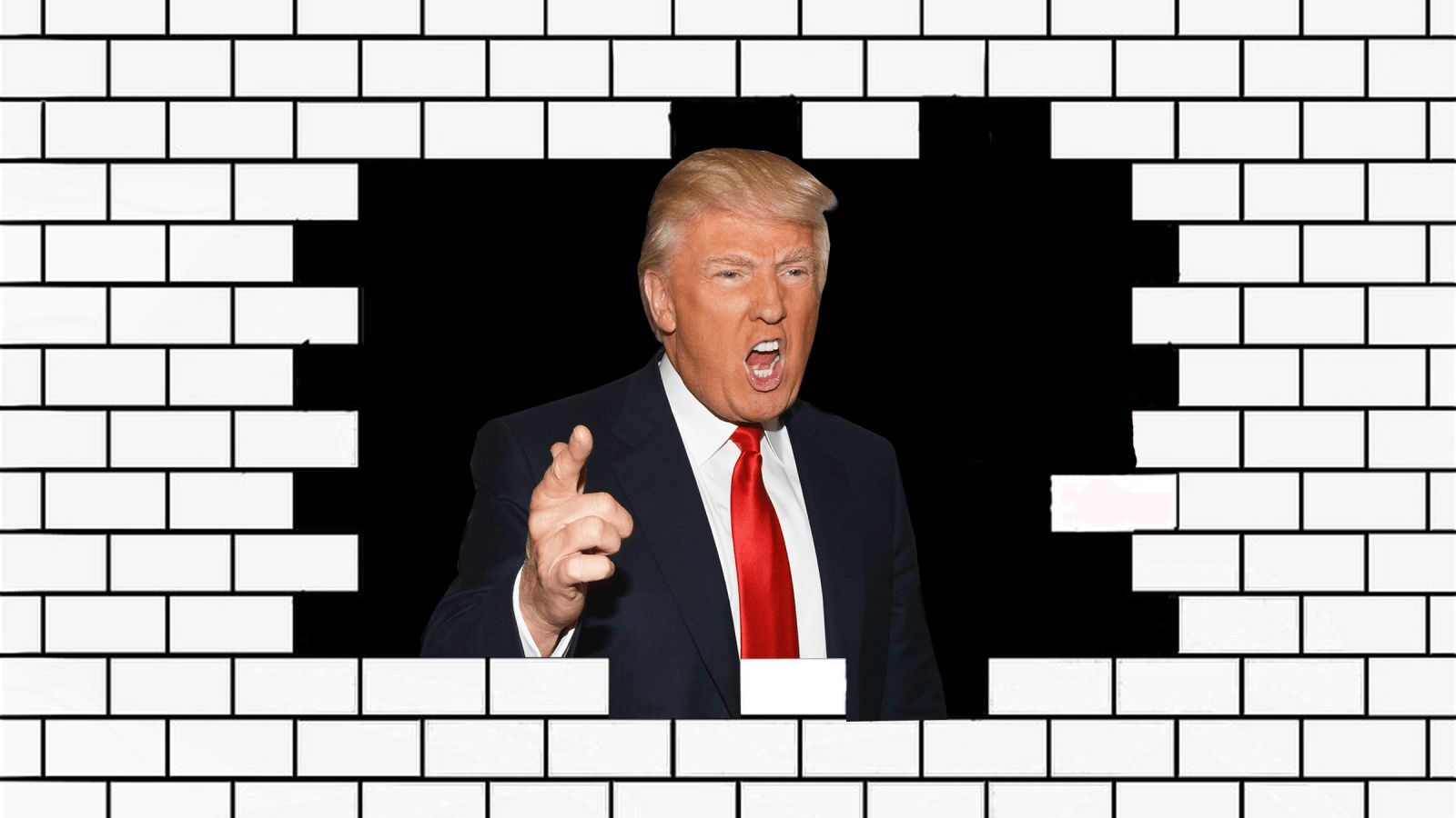 Trump Wall Blank Meme Template