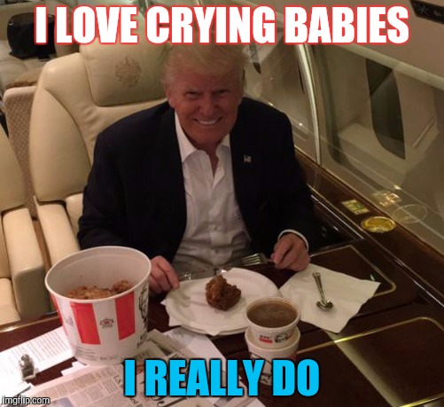 Trump | I LOVE CRYING BABIES; I REALLY DO | image tagged in donald trump | made w/ Imgflip meme maker