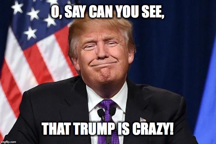 Crazy Trump | O, SAY CAN YOU SEE, THAT TRUMP IS CRAZY! | image tagged in donald trump | made w/ Imgflip meme maker