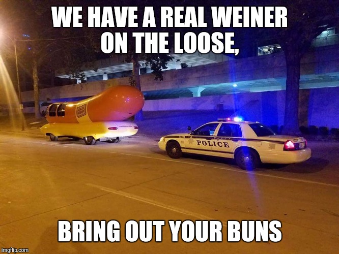 Weiner | WE HAVE A REAL WEINER ON THE LOOSE, BRING OUT YOUR BUNS | image tagged in weiner | made w/ Imgflip meme maker