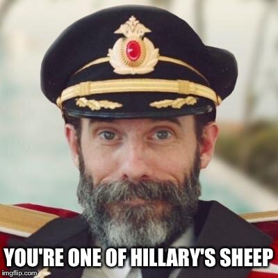 YOU'RE ONE OF HILLARY'S SHEEP | made w/ Imgflip meme maker