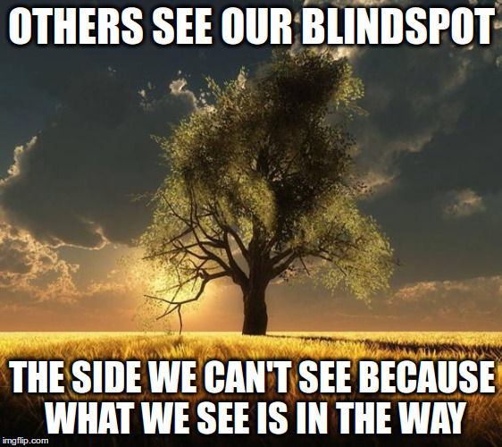 Tree of Life | OTHERS SEE OUR BLINDSPOT; THE SIDE WE CAN'T SEE BECAUSE WHAT WE SEE IS IN THE WAY | image tagged in tree of life | made w/ Imgflip meme maker