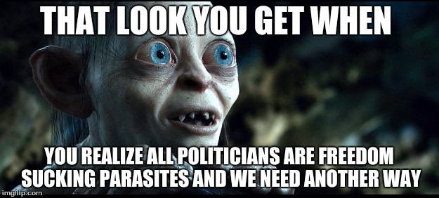 THAT LOOK YOU GET WHEN; YOU REALIZE ALL POLITICIANS ARE FREEDOM SUCKING PARASITES AND WE NEED ANOTHER WAY | image tagged in freedom | made w/ Imgflip meme maker