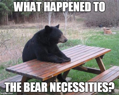 Bad Luck Bear | WHAT HAPPENED TO; THE BEAR NECESSITIES? | image tagged in memes,bad luck bear | made w/ Imgflip meme maker