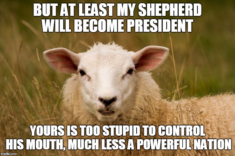 BUT AT LEAST MY SHEPHERD WILL BECOME PRESIDENT YOURS IS TOO STUPID TO CONTROL HIS MOUTH, MUCH LESS A POWERFUL NATION | made w/ Imgflip meme maker