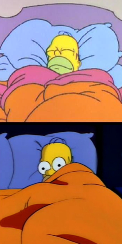 High Quality homersleep Blank Meme Template