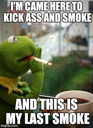 This IS My Business! | I'M CAME HERE TO KICK ASS AND SMOKE; AND THIS IS MY LAST SMOKE | image tagged in smoking kermit | made w/ Imgflip meme maker