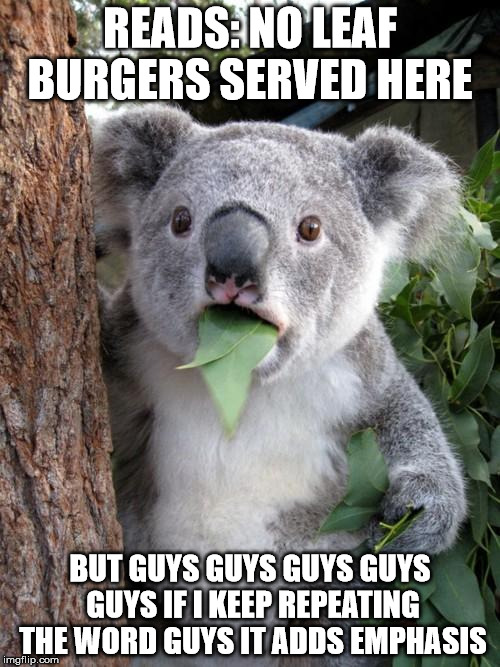 Surprised Koala | READS: NO LEAF BURGERS SERVED HERE; BUT GUYS GUYS GUYS GUYS GUYS IF I KEEP REPEATING THE WORD GUYS IT ADDS EMPHASIS | image tagged in memes,surprised koala | made w/ Imgflip meme maker