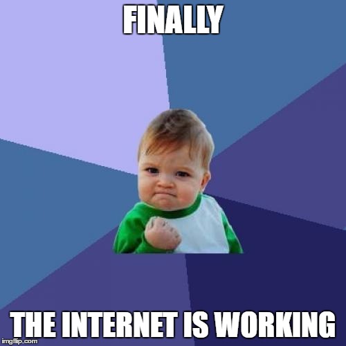 Success Kid Meme | FINALLY; THE INTERNET IS WORKING | image tagged in memes,success kid | made w/ Imgflip meme maker