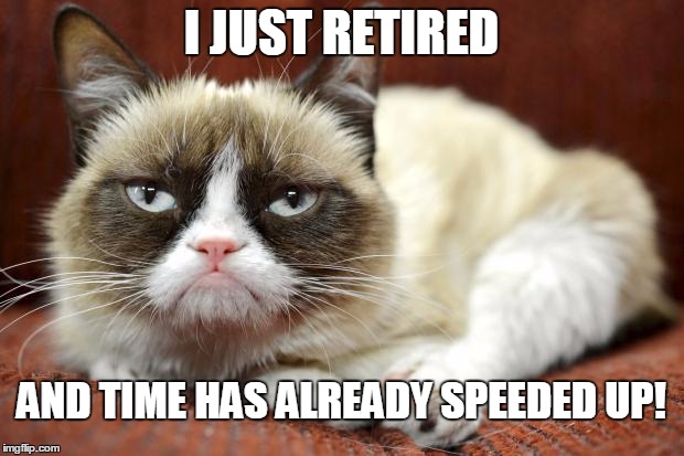THE SPEED OF LIGHT MUST HAVE JUST INCREASED | I JUST RETIRED; AND TIME HAS ALREADY SPEEDED UP! | image tagged in grumpycat,retirement,life sucks | made w/ Imgflip meme maker