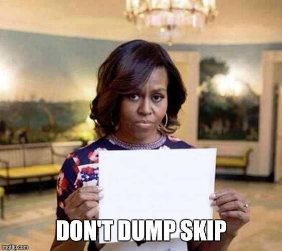 Michelle Obama blank sheet | DON'T DUMP SKIP | image tagged in michelle obama blank sheet | made w/ Imgflip meme maker