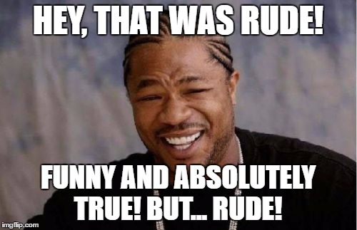 Yo Dawg Heard You Meme | HEY, THAT WAS RUDE! FUNNY AND ABSOLUTELY TRUE! BUT... RUDE! | image tagged in memes,yo dawg heard you | made w/ Imgflip meme maker
