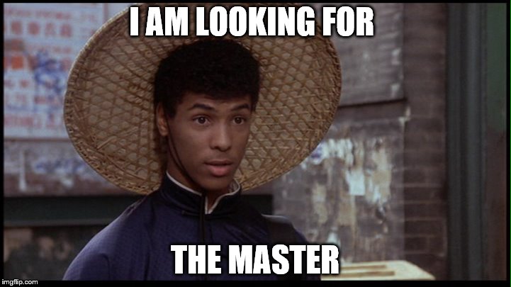 I AM LOOKING FOR; THE MASTER | image tagged in dragons | made w/ Imgflip meme maker