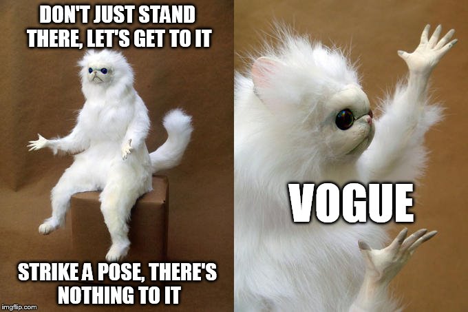 Fashion Guardian | DON'T JUST STAND THERE, LET'S GET TO IT; VOGUE; STRIKE A POSE, THERE'S NOTHING TO IT | image tagged in memes,persian cat room guardian | made w/ Imgflip meme maker