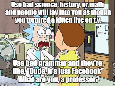Public School isn't for Smart People | Use bad science, history, or math and people will lay into you as though you tortured a kitten live on t.v. Use bad grammar and they're like, "Dude, it's just Facebook"  What are you, a professor? | image tagged in public school isn't for smart people | made w/ Imgflip meme maker