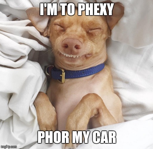 I'M TO PHEXY; PHOR MY CAR | image tagged in phteven dog,car,sexy | made w/ Imgflip meme maker