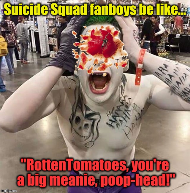 Suicide Squad fanboys be like... "RottenTomatoes, you're a big meanie, poop-head!" | image tagged in fanboys,fangirls,suicide squad,dceu,rottentomatoes,warner bros | made w/ Imgflip meme maker