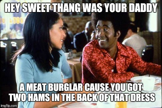 HEY SWEET THANG WAS YOUR DADDY; A MEAT BURGLAR CAUSE YOU GOT TWO HAMS IN THE BACK OF THAT DRESS | image tagged in the ladies man | made w/ Imgflip meme maker