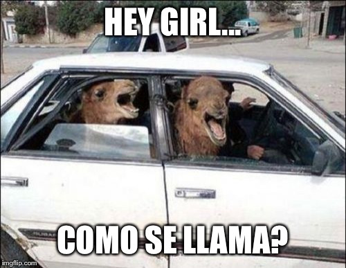 Quit Hatin |  HEY GIRL... COMO SE LLAMA? | image tagged in memes,quit hatin | made w/ Imgflip meme maker