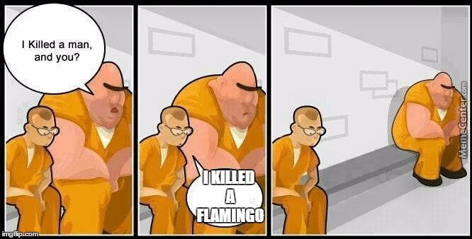 why the heck would you kill a flamingo at an amusement park? | I KILLED A FLAMINGO | image tagged in prisoners blank,flamingo | made w/ Imgflip meme maker