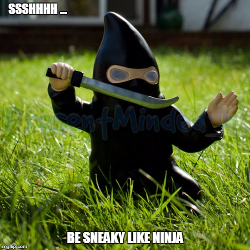 GNINJA GNOME  | SSSHHHH ... BE SNEAKY LIKE NINJA | image tagged in gnomes,ninja,grasshopper,karate | made w/ Imgflip meme maker