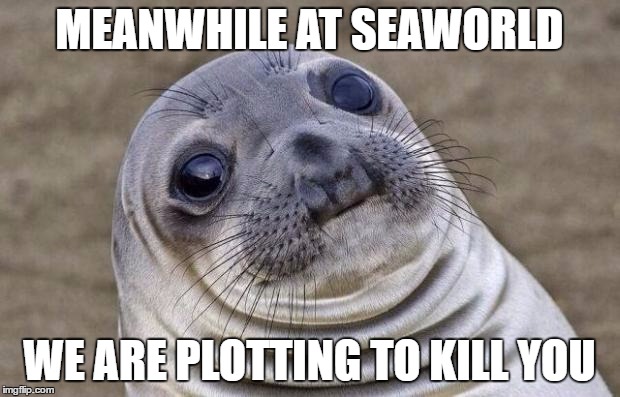 Awkward Moment Sealion Meme | MEANWHILE AT SEAWORLD; WE ARE PLOTTING TO KILL YOU | image tagged in memes,awkward moment sealion | made w/ Imgflip meme maker