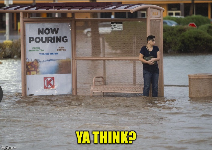 Now Pouring | YA THINK? | image tagged in flooded,irony | made w/ Imgflip meme maker