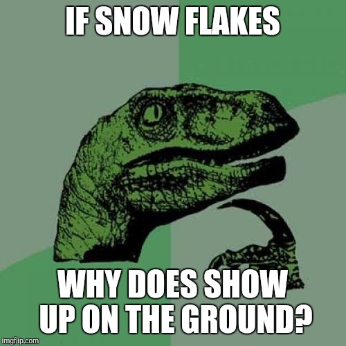 Philosoraptor | IF SNOW FLAKES; WHY DOES SHOW UP ON THE GROUND? | image tagged in memes,philosoraptor | made w/ Imgflip meme maker