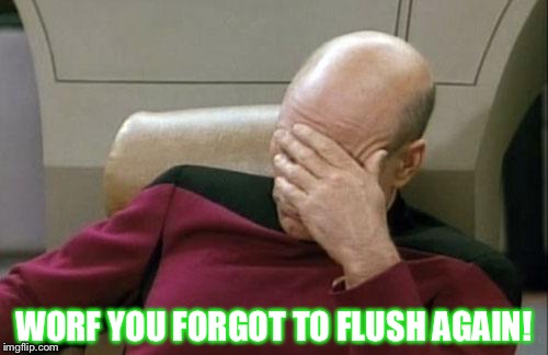 Captain Picard Facepalm Meme | WORF YOU FORGOT TO FLUSH AGAIN! | image tagged in memes,captain picard facepalm | made w/ Imgflip meme maker