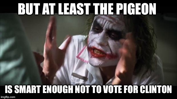 And everybody loses their minds Meme | BUT AT LEAST THE PIGEON IS SMART ENOUGH NOT TO VOTE FOR CLINTON | image tagged in memes,and everybody loses their minds | made w/ Imgflip meme maker