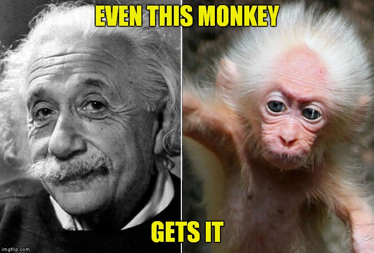 EVEN THIS MONKEY GETS IT | made w/ Imgflip meme maker